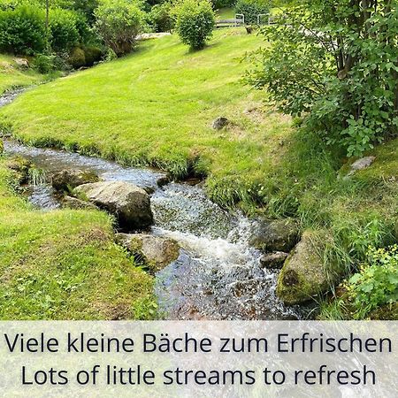 Auszeit Apartment Black Forest Schonach im Schwarzwald Extérieur photo