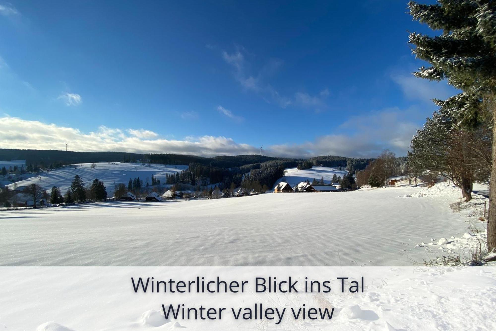 Auszeit Apartment Black Forest Schonach im Schwarzwald Extérieur photo