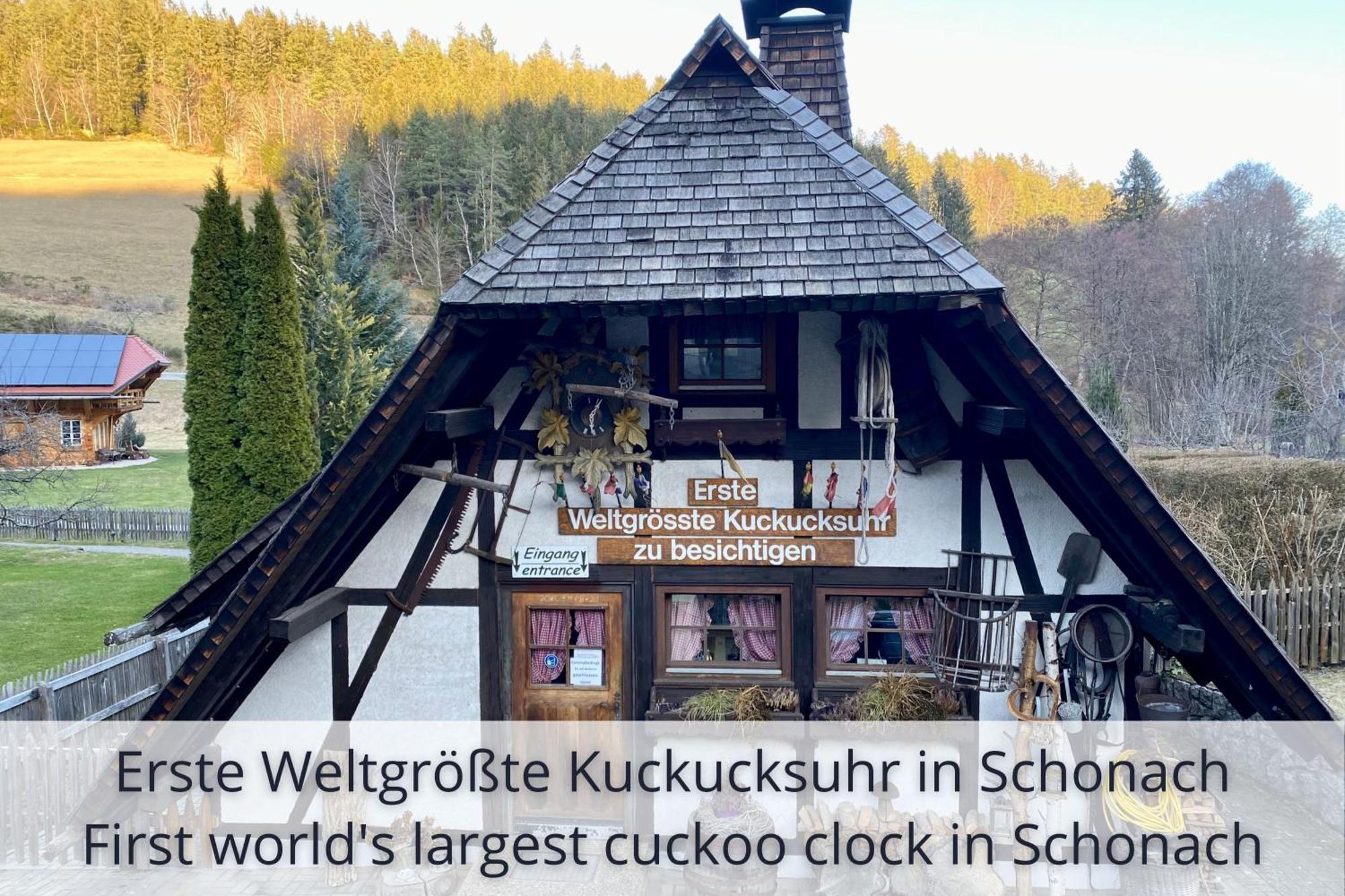 Auszeit Apartment Black Forest Schonach im Schwarzwald Extérieur photo