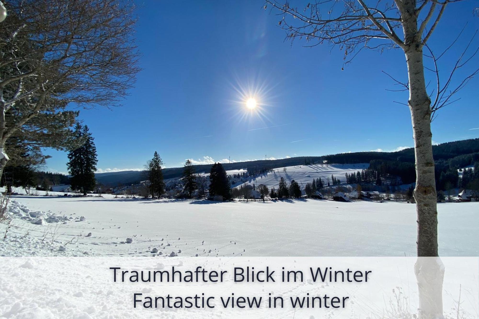 Auszeit Apartment Black Forest Schonach im Schwarzwald Extérieur photo